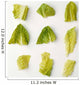 Agriculture - Closeup of chopped Romaine lettuce pieces Wall Mural