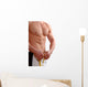 healthy man Wall Mural
