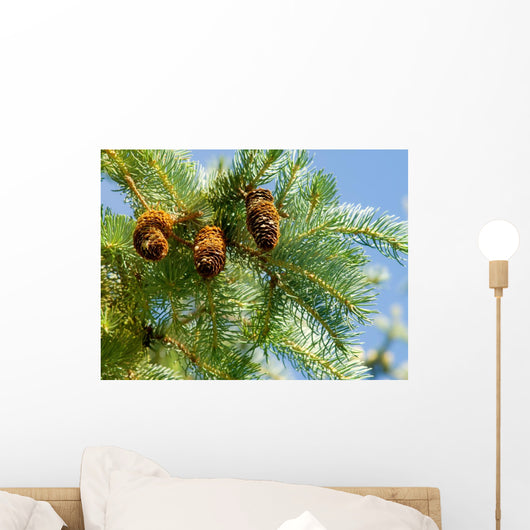 Pine Cone and Branch Wall Mural