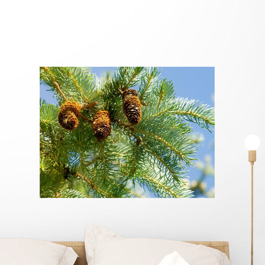 Pine Cone and Branch Wall Mural