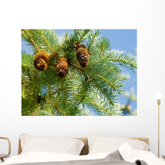 Pine Cone and Branch Wall Mural