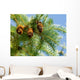 Pine Cone and Branch Wall Mural