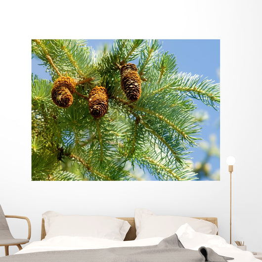 Pine Cone and Branch Wall Mural