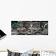 buddha Wall Mural