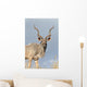 Male Kudu Antelope Wall Mural
