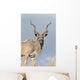 Male Kudu Antelope Wall Mural