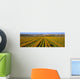 Agriculture - A field of commercially grown Marigold flowers / Lompoc Wall Mural