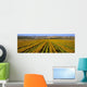 Agriculture - A field of commercially grown Marigold flowers / Lompoc Wall Mural
