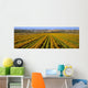 Agriculture - A field of commercially grown Marigold flowers / Lompoc Wall Mural