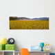 Field Commercially Grown Marigold Wall Decal