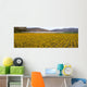 Field Commercially Grown Marigold Wall Decal