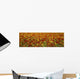 Agriculture - A field of commercially grown Nasturtiums / Lompoc Wall Mural