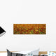 Agriculture - A field of commercially grown Nasturtiums / Lompoc Wall Mural