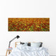 Agriculture - A field of commercially grown Nasturtiums / Lompoc Wall Mural