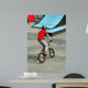 Bicycle Stunt Wall Mural