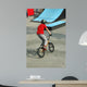 Bicycle Stunt Wall Mural