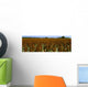 Agriculture - Crop of mid mature grain sorghum Wall Mural