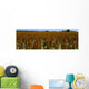 Agriculture - Crop of mid mature grain sorghum Wall Mural