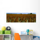 Agriculture - Crop of mid mature grain sorghum Wall Mural