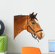 Beautiful brown horse Wall Decal