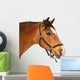 Beautiful brown horse Wall Decal