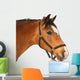 Beautiful brown horse Wall Decal
