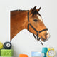 Beautiful brown horse Wall Decal