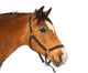 Beautiful brown horse Wall Decal