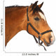 Beautiful brown horse Wall Decal
