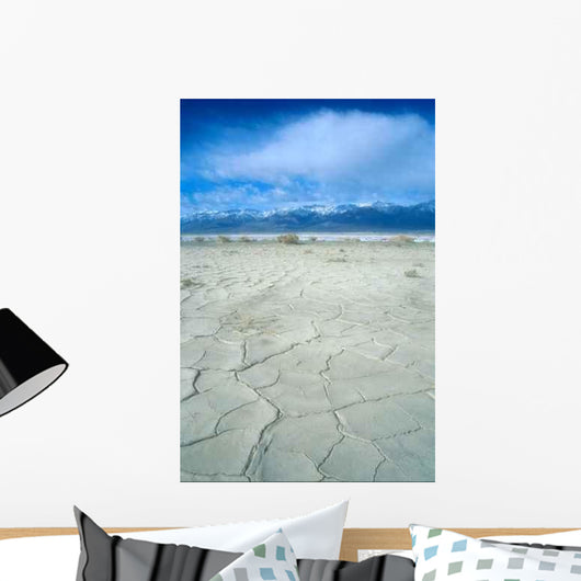 Desert 03 Wall Decal