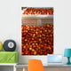Agriculture - Freshly harvested ripe nectarines Wall Mural