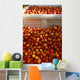 Agriculture - Freshly harvested ripe nectarines Wall Mural