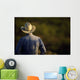 Agriculture - View of a cowboy from behind / Cee Vee, Texas, USA Wall Mural