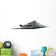 Stealth Fighter Plane Wall Decal