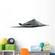 Stealth Fighter Plane Wall Decal