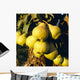 Agriculture - Mature Bartlett pears on the tree Wall Mural