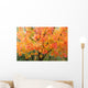 Fall Colors Wall Mural