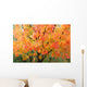 Fall Colors Wall Mural