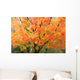 Fall Colors Wall Mural