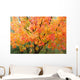 Fall Colors Wall Mural