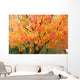 Fall Colors Wall Mural