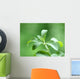 Stevia honey plant Wall Mural