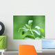 Stevia honey plant Wall Mural