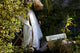 Tropical Massage Wall Mural