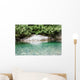 Peaceful Backwater Wall Mural