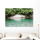 Peaceful Backwater Wall Mural