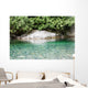 Peaceful Backwater Wall Mural
