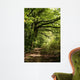 forest path Wall Mural