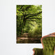 forest path Wall Mural