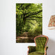 forest path Wall Mural
